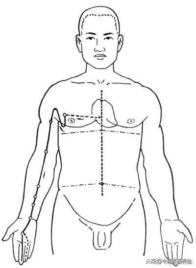 12经络对应12时辰走向图讲解,人体12经络走向位置图详解