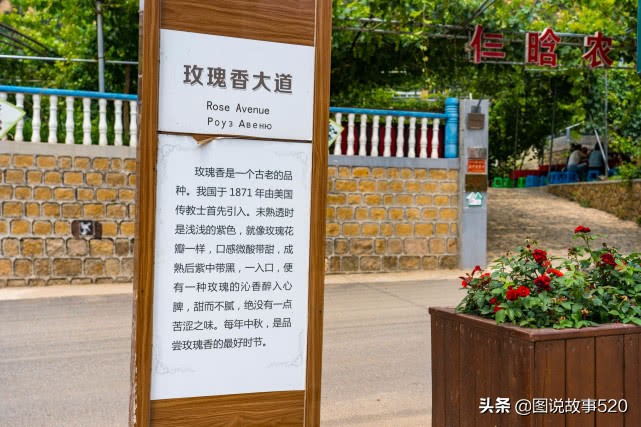 河北最为低调小城:为韩愈祖籍地,曹操《观沧海》中的碣石在这