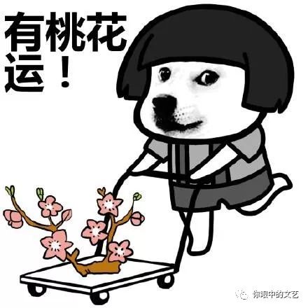 星座娱乐：幸运之神降临，还给狮子座准备了“礼物”？