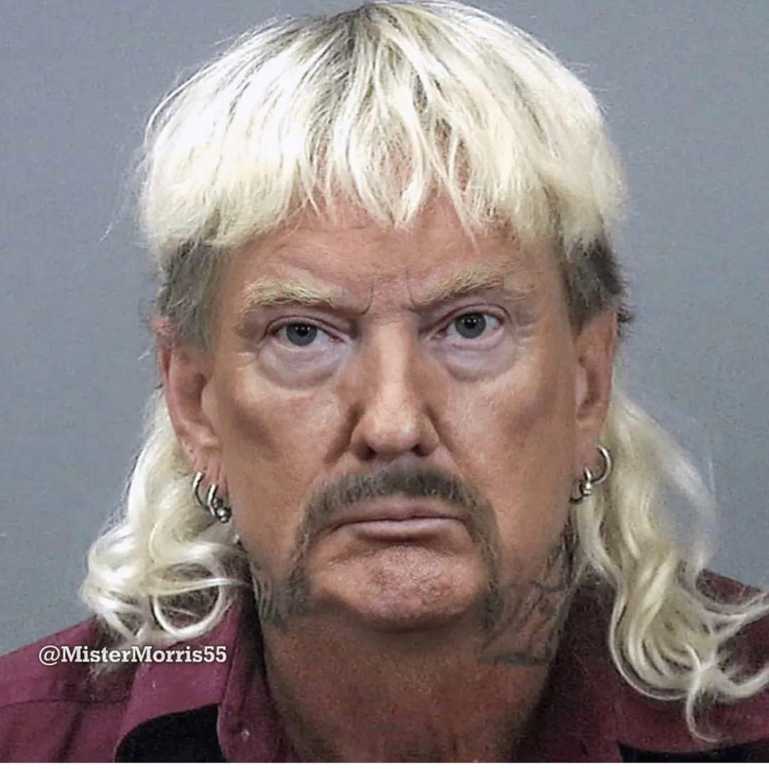 疫情中全美国都在安利这疯子电影