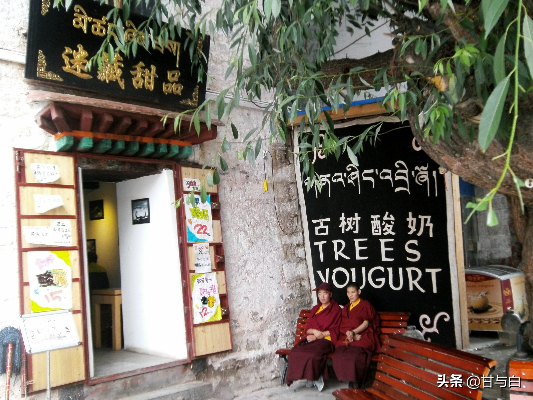 心灵的旅行放飞心情,心灵放飞的视频