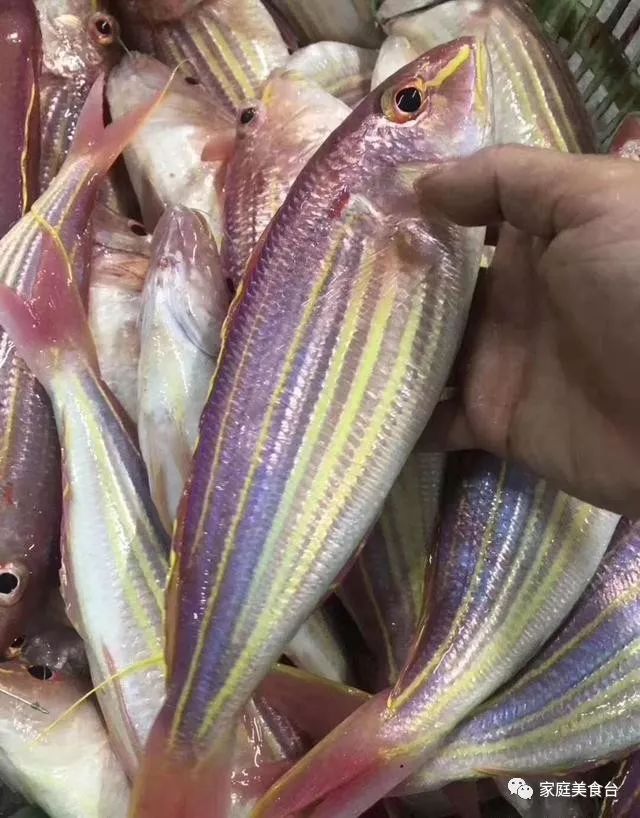市场能买到的纯正海鱼有哪些,最便宜实惠的海鱼