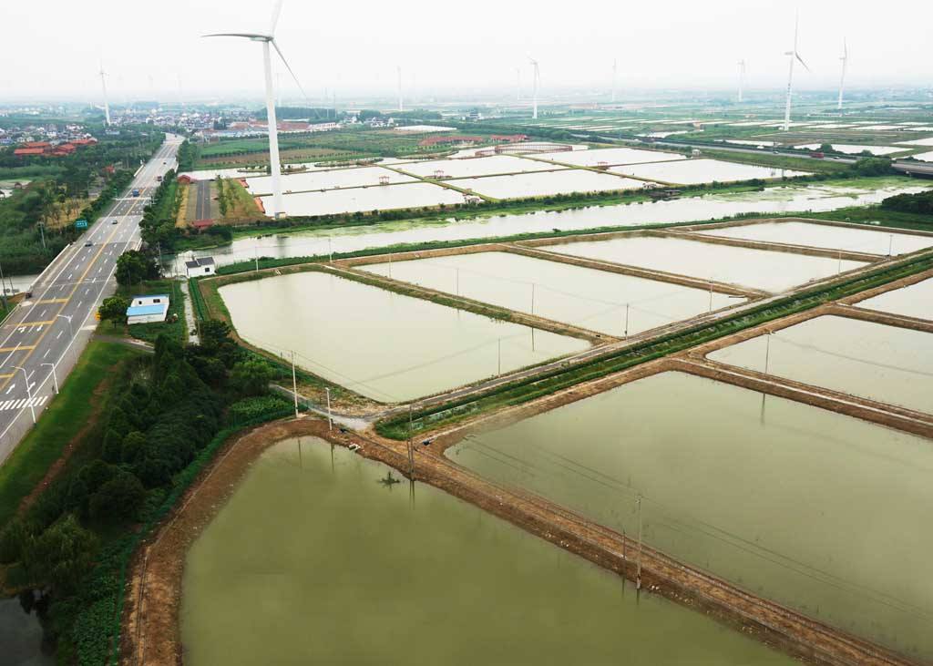 阳澄湖农家乐第一名,阳澄湖农家乐吃蟹正宗的地方