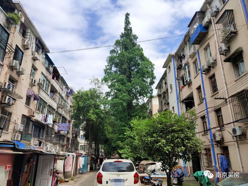 一个月卖空、有人要全包150万以下房源，城北老破小突然“爆红”