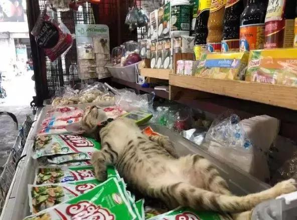 香港这家便利店的店长,靠着腮帮子走红了