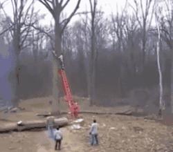 搞笑GIF段子：编辑这锅台是不是为了录视频还擦了擦？唉呀妈呀