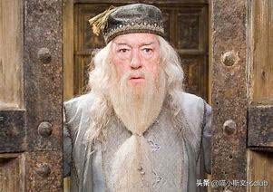 哈利波特中的巫师都能活很久吗,哈利波特最强巫师是什么水平