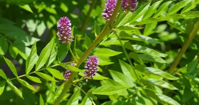 原来她们都在偷偷用这个！这个秘密只有皮肤水嫩柔滑的妹子才知道