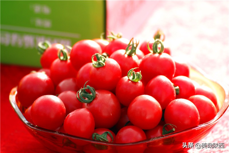 水果之乡陕西大荔,不讲理的大荔县典故