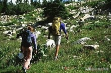 立秋是秋天的第1个节气,立秋秋季的第一个节气