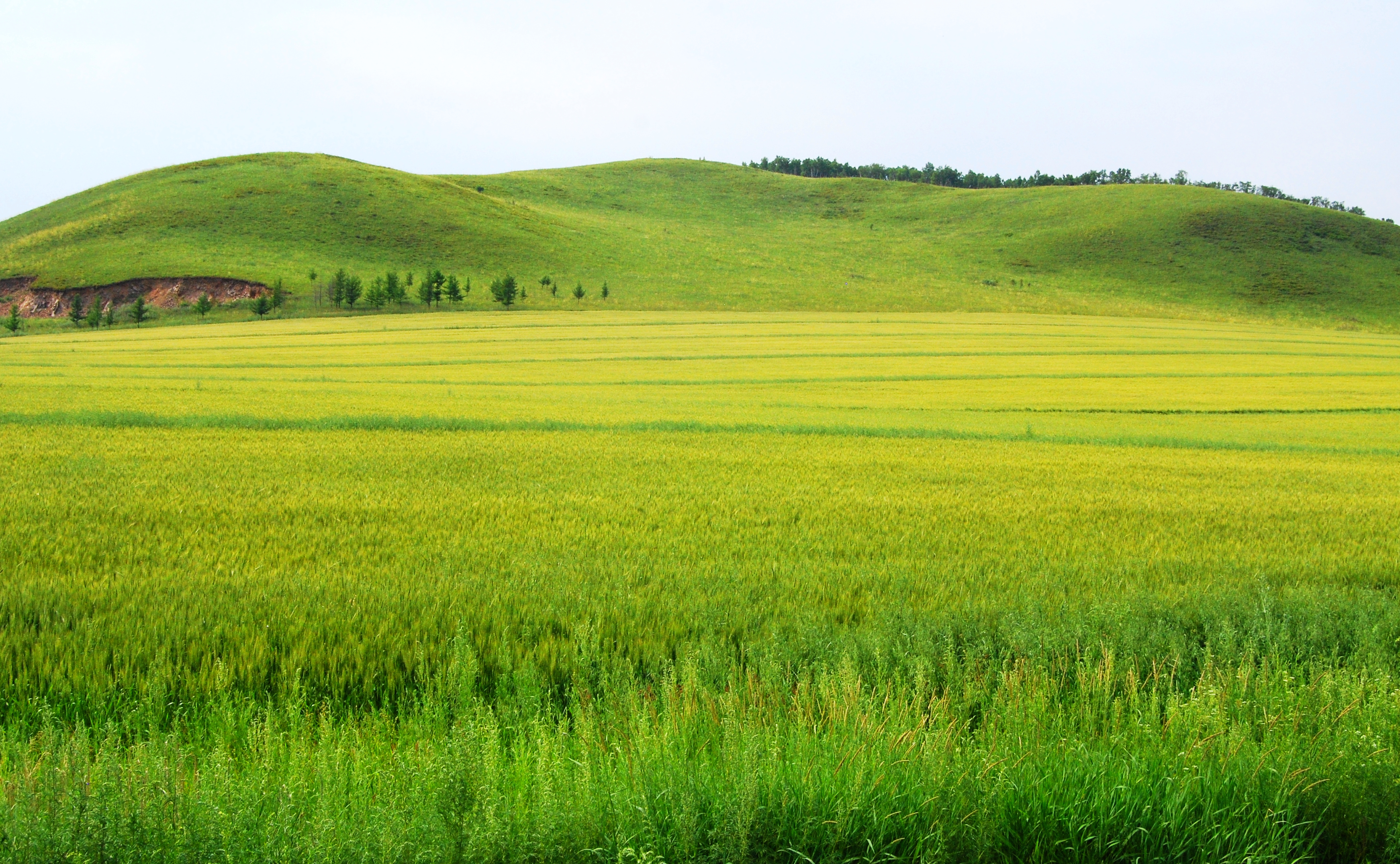 一辆车,从东乌旗沿中蒙边境公路到阿尔山,漫长边关寻迹历史遗存