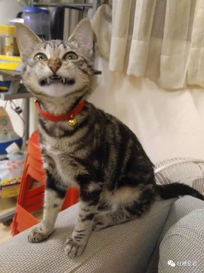 新注册微信测试男朋友被套路,新建个小号怎么试探男朋友