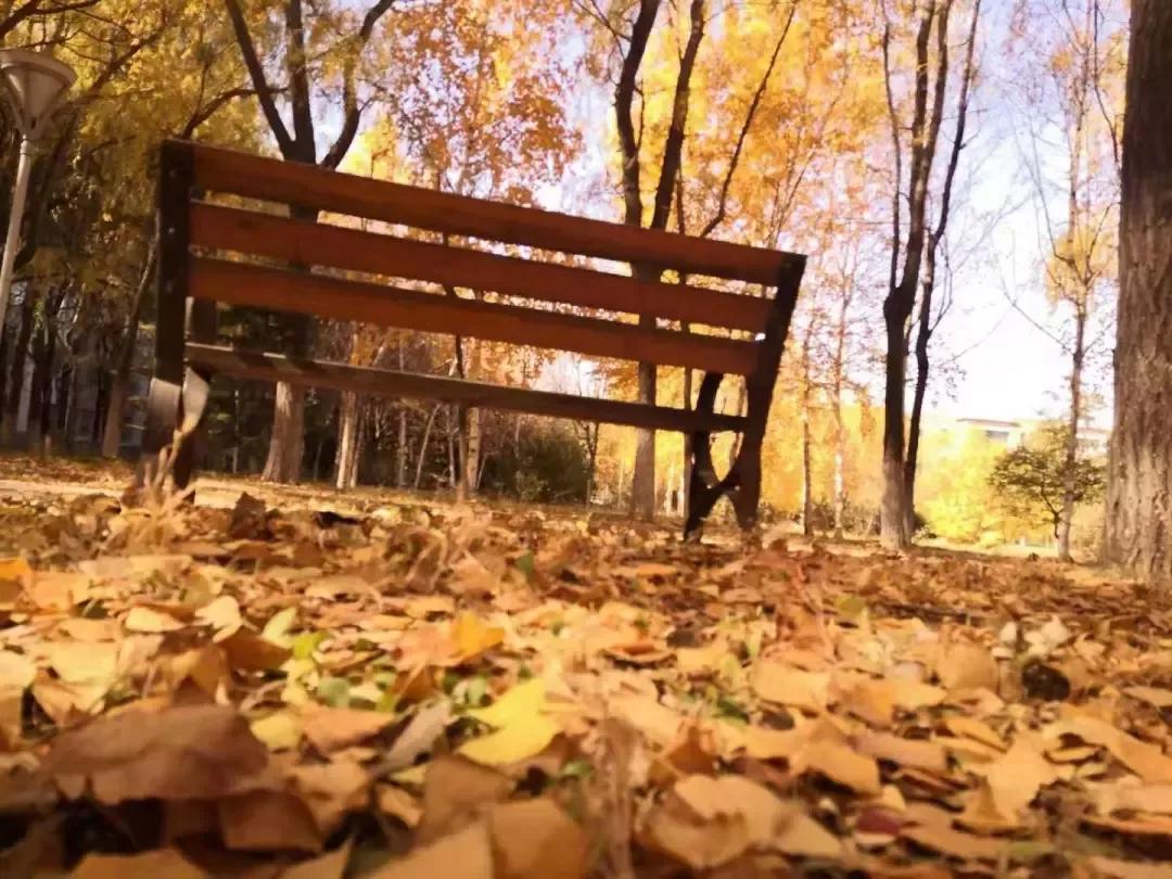 辽宁省普通高等院校（二十五）沈阳工程学院
