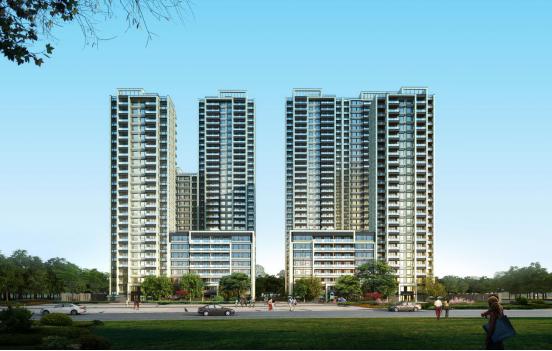 涓績璞畢,涓績绮捐璞畢鐙爧鍒