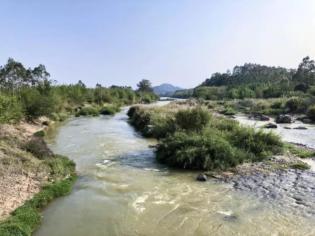 越过山丘才发现它如此优秀,越过山丘发现一无所有