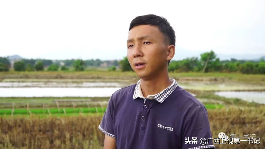 “仙草林”有什么致富宝？“罗曼粉”还可以下“金蛋.......