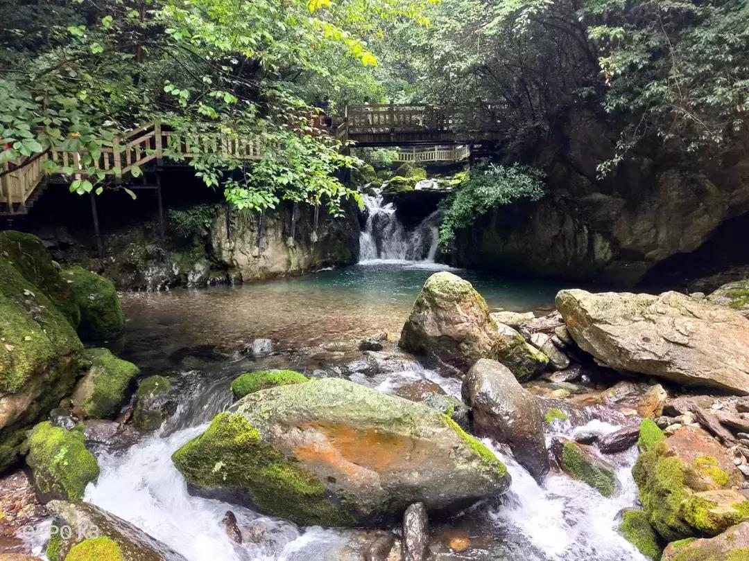 神农架攻略书,重庆出发神农架三日自驾游攻略