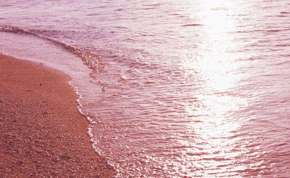 世界上粉色海滩,世界上的粉色沙滩在哪