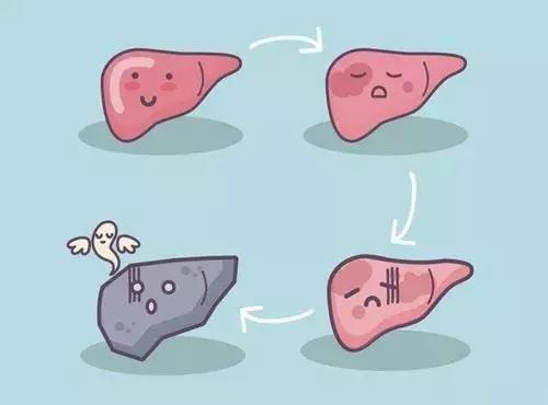 体检查出脂肪肝转氨酶100算不算高,体检查出脂肪肝影响录取吗