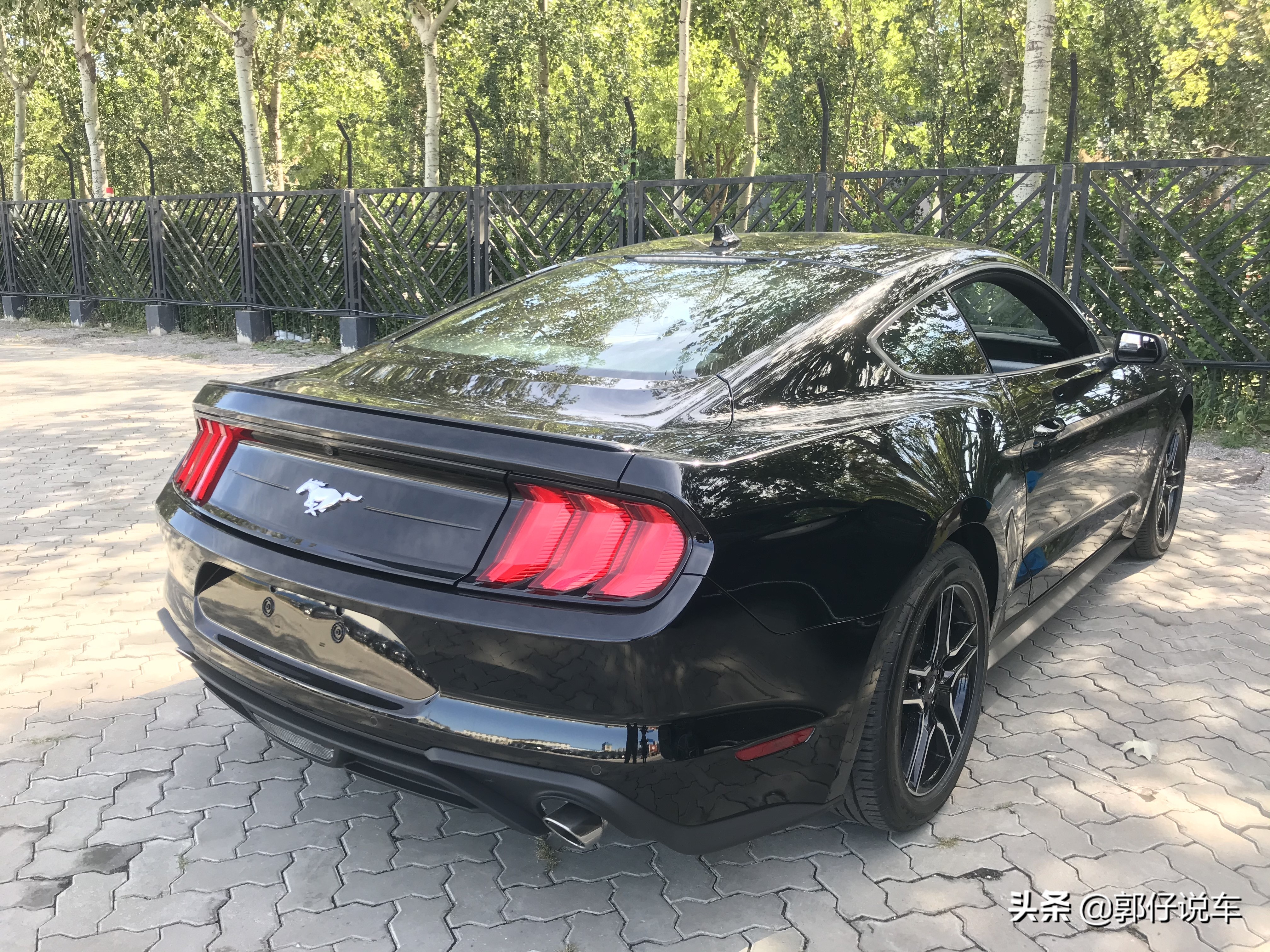 最强大版本福特野马,国民汽车小钢炮