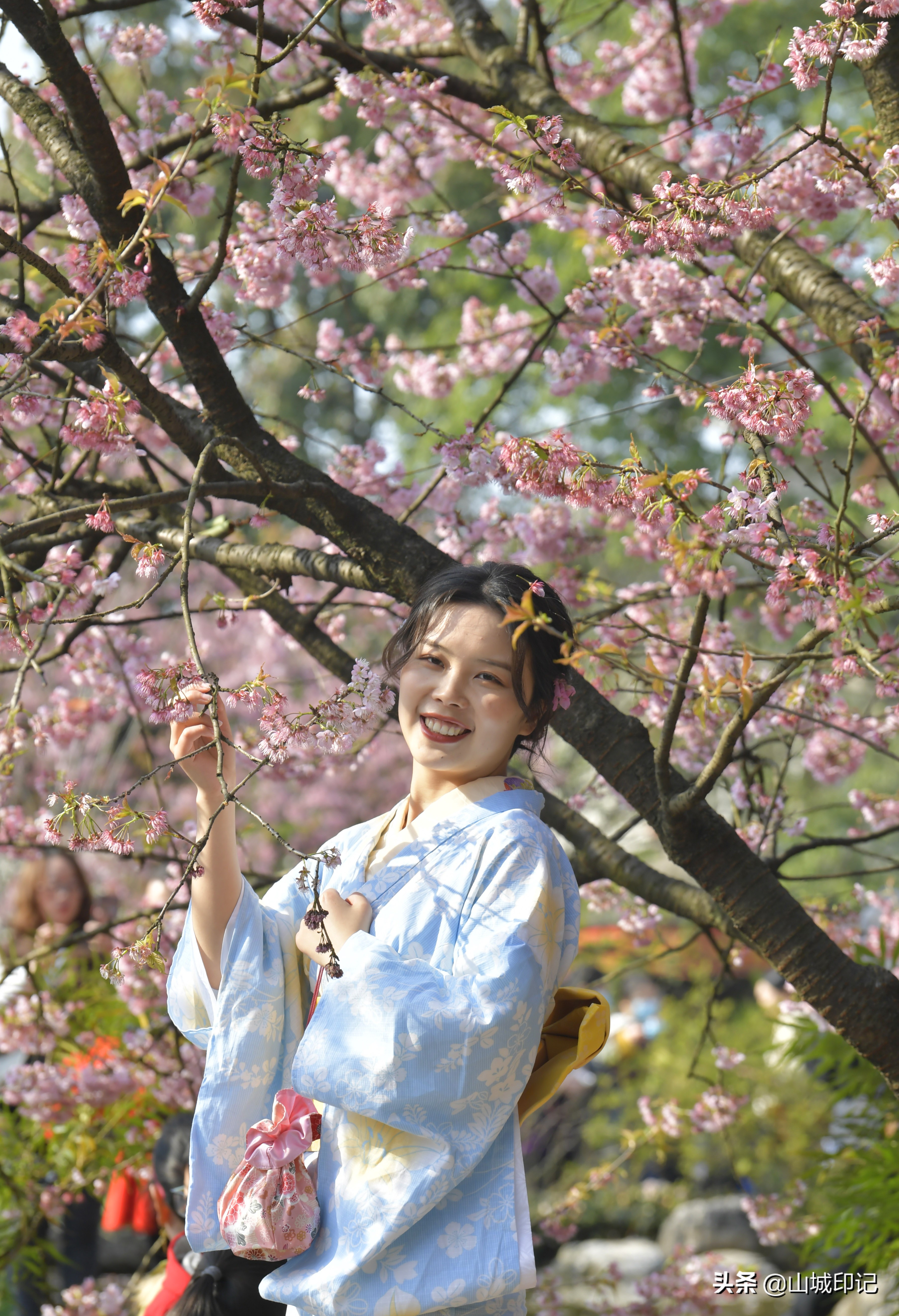 穿日本和服很美很好看,日系和服与樱花拍照姿势