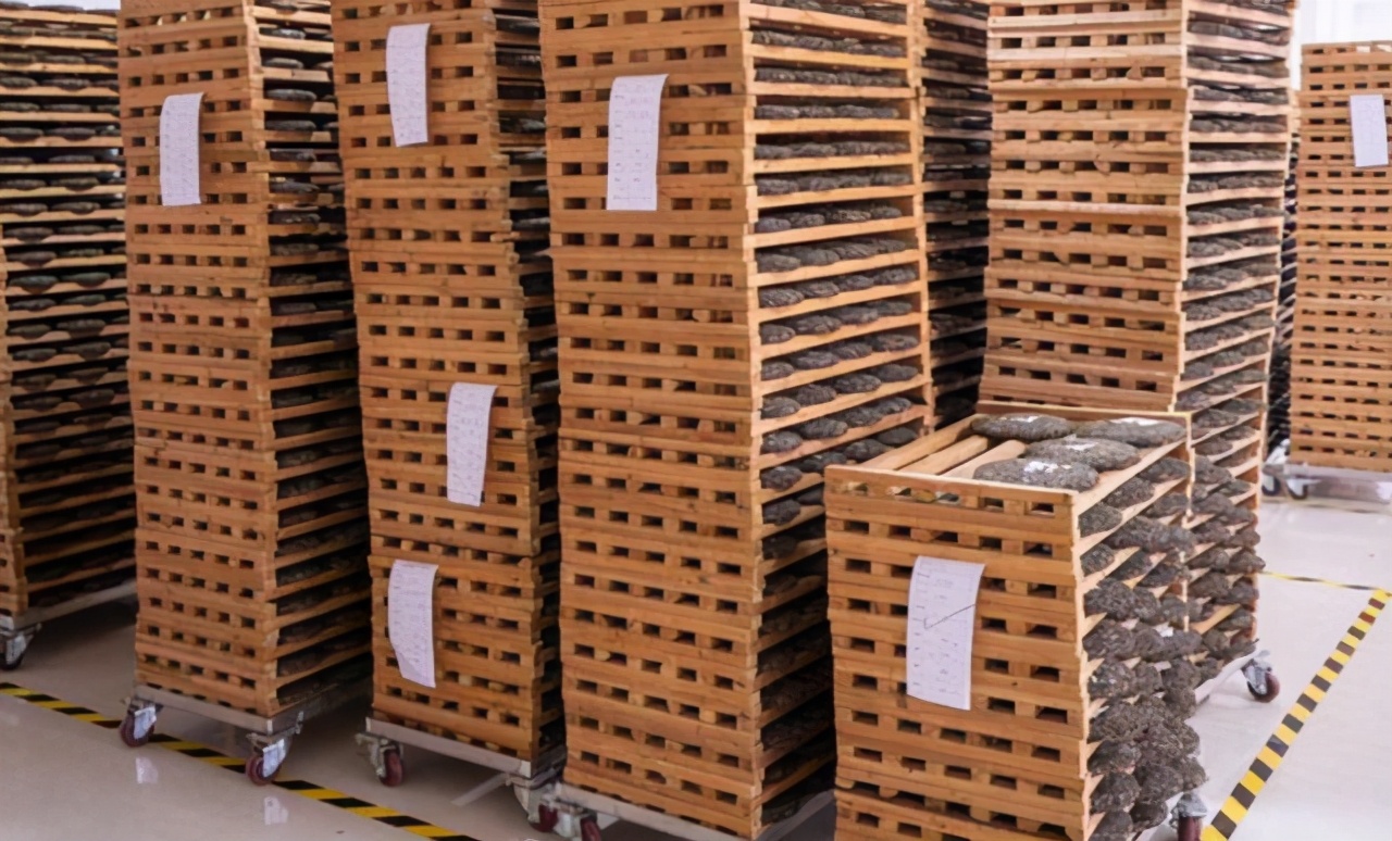 东莞茶叶库存视频,东莞7000吨茶叶