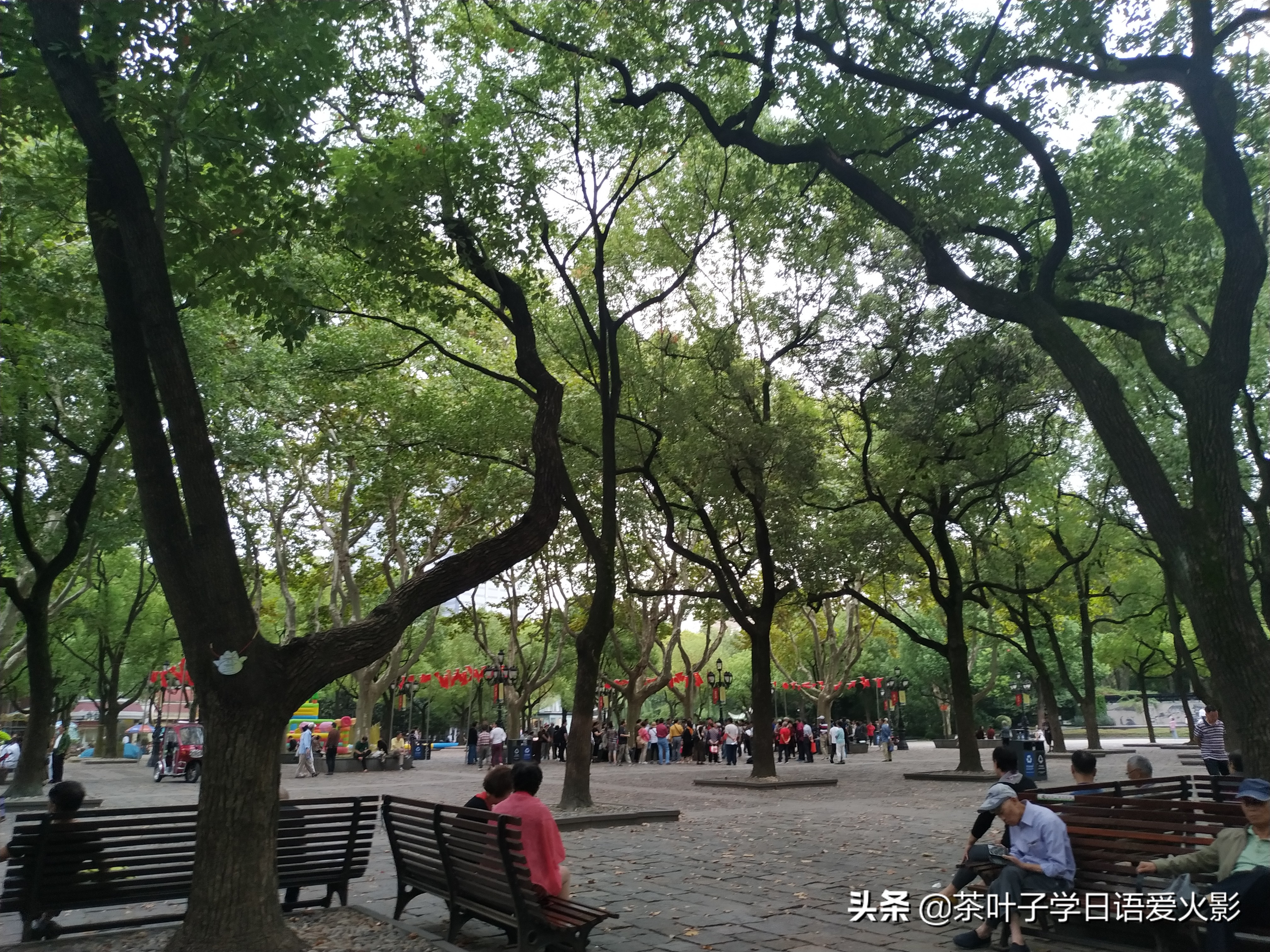 上海甜爱路，打卡不要错过哦，还有鲁迅公园