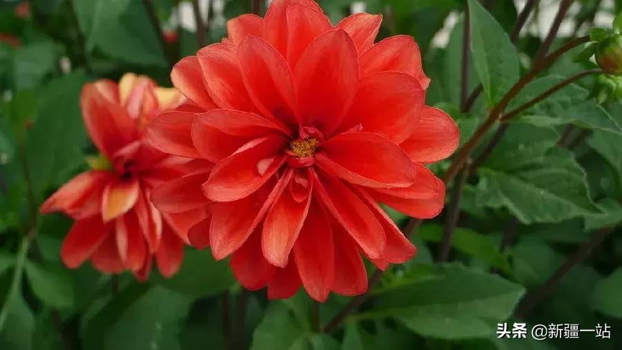 塔城市区内游玩民俗,塔城额敏民俗