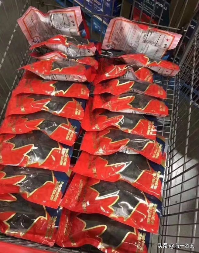 加拿大进口即食海参,加拿大即食海参500g6只左右