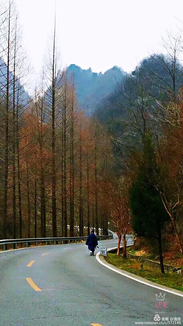 心途漫漫,心遥路漫漫的文章