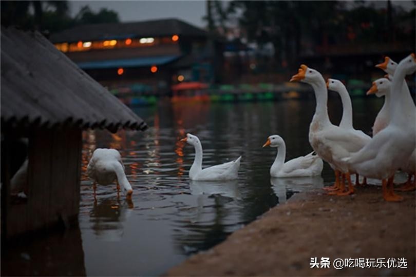 深圳观澜山水田园游,深圳观澜湖山水田园旅游文化园