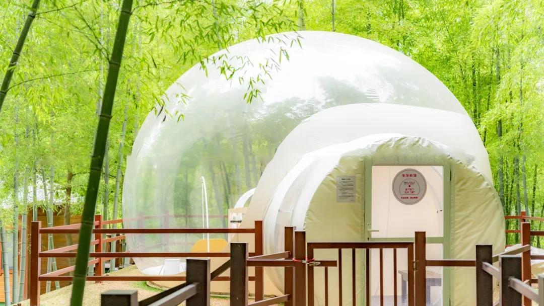 上新｜泡泡屋、树屋、竹苑，刷爆朋友圈的美宿又来了