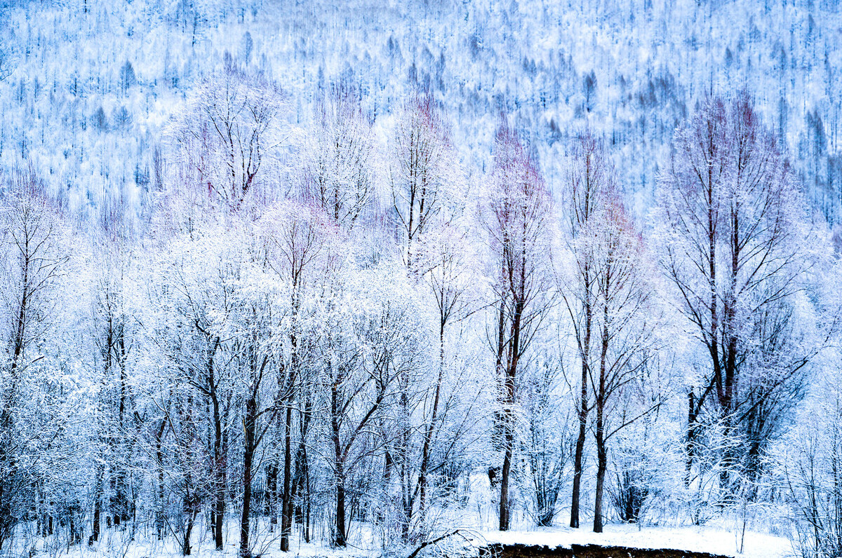 东北汉人看满族,东北汉人对于满族的态度