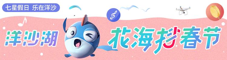 长沙洋沙湖湿地公园,湘阴洋沙湖五一活动