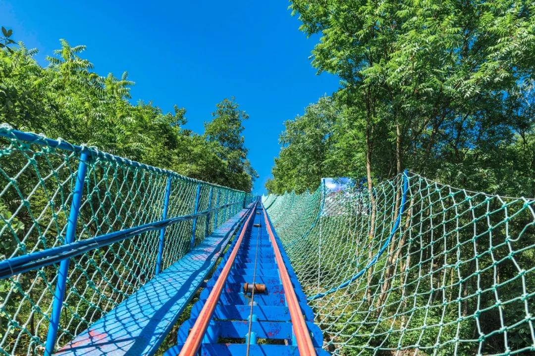 石林景区网红景点打卡,石林景区有什么好玩的景点