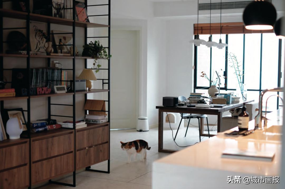 switch动森里的家,动森里的switch