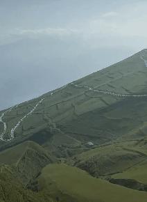 如何清理运动鞋推荐的鞋垫,洗运动鞋鞋垫的方法