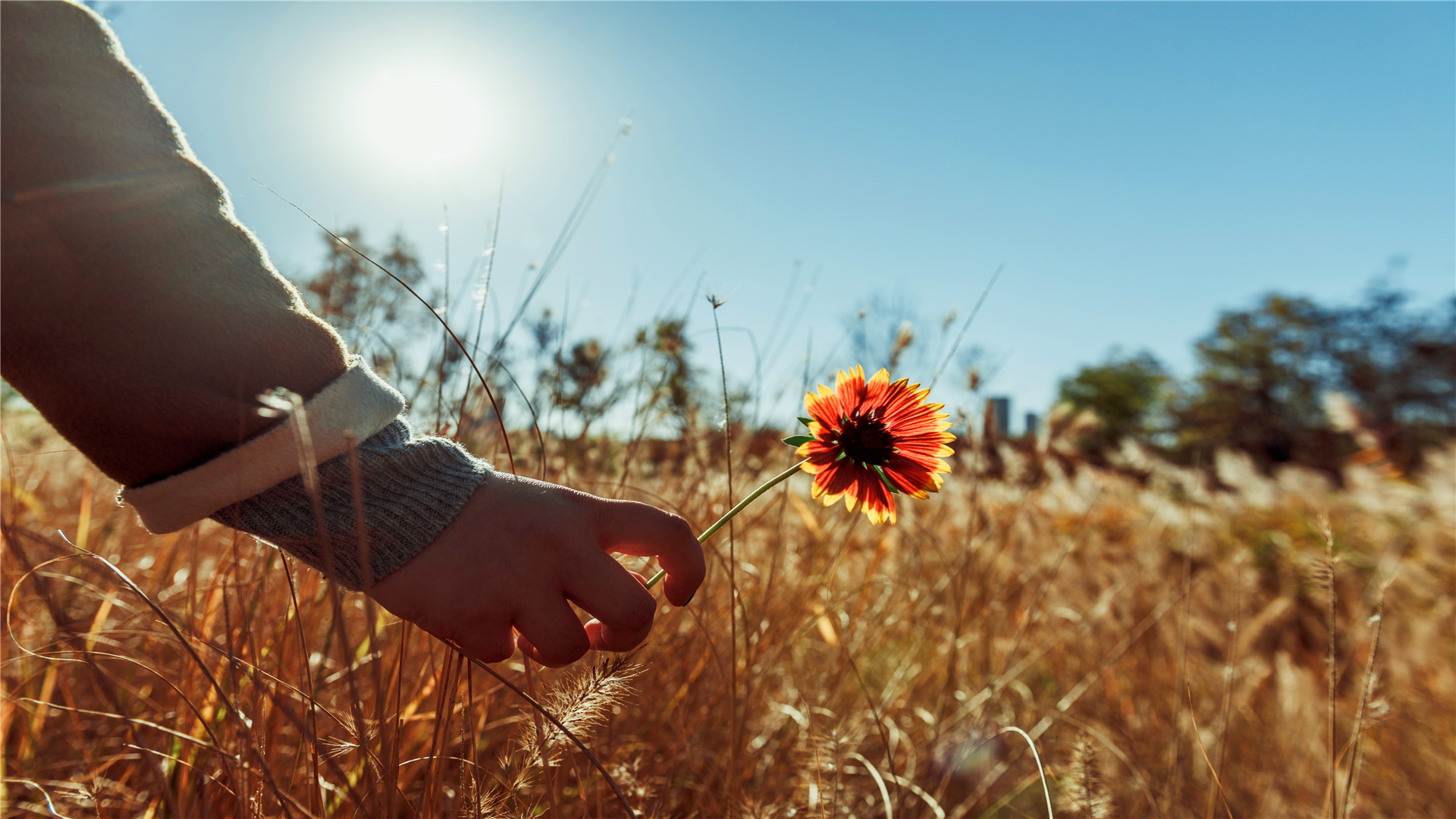 聪明的女人从不跟娘家人诉苦,聪明的女人对娘家不能做的2件事