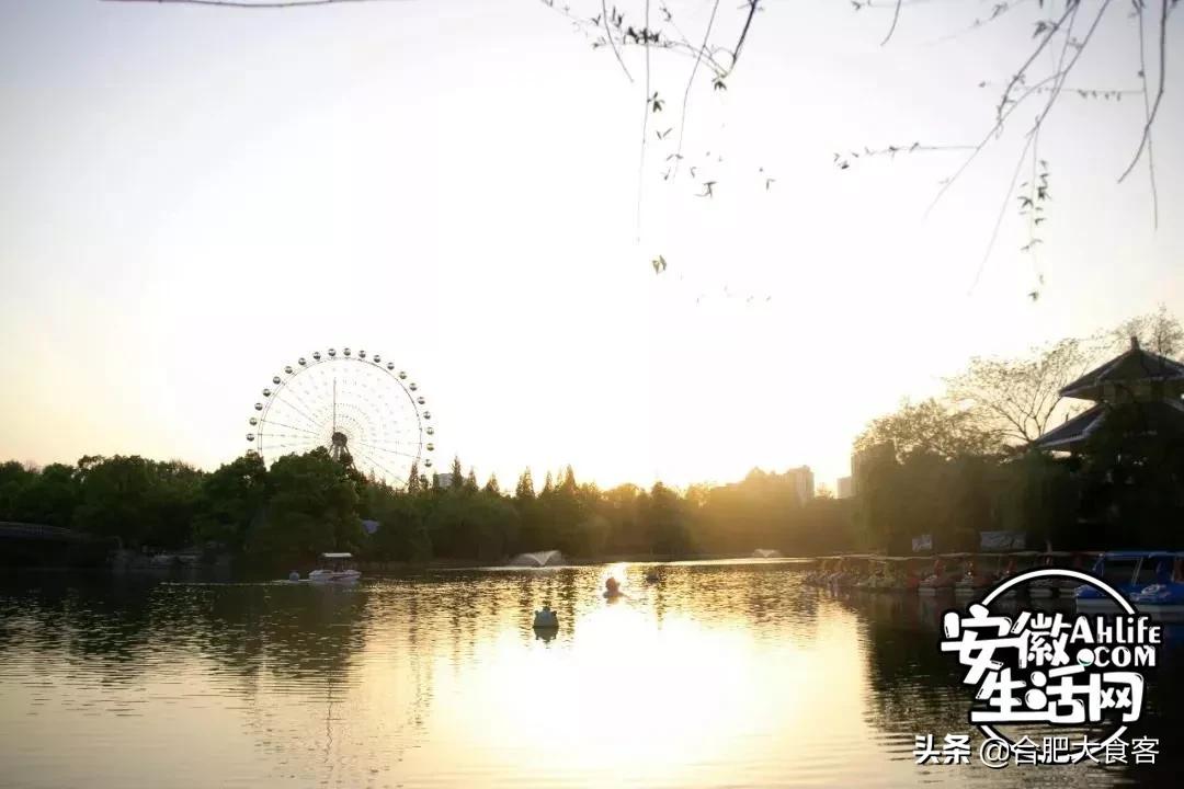 2020年，在这50个地方遇见不一样的合肥