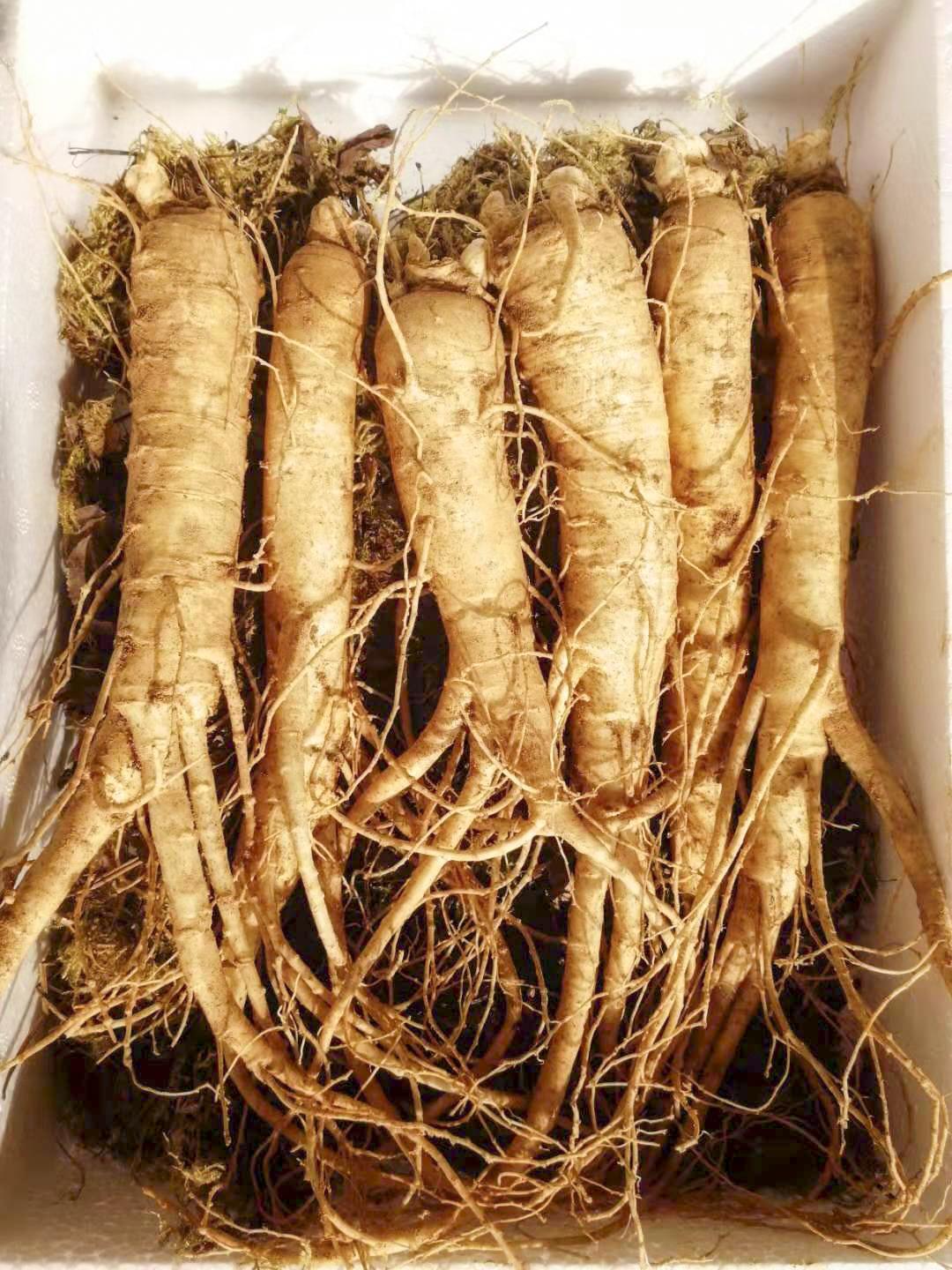 行走在乡村的感悟,行走在乡间感悟