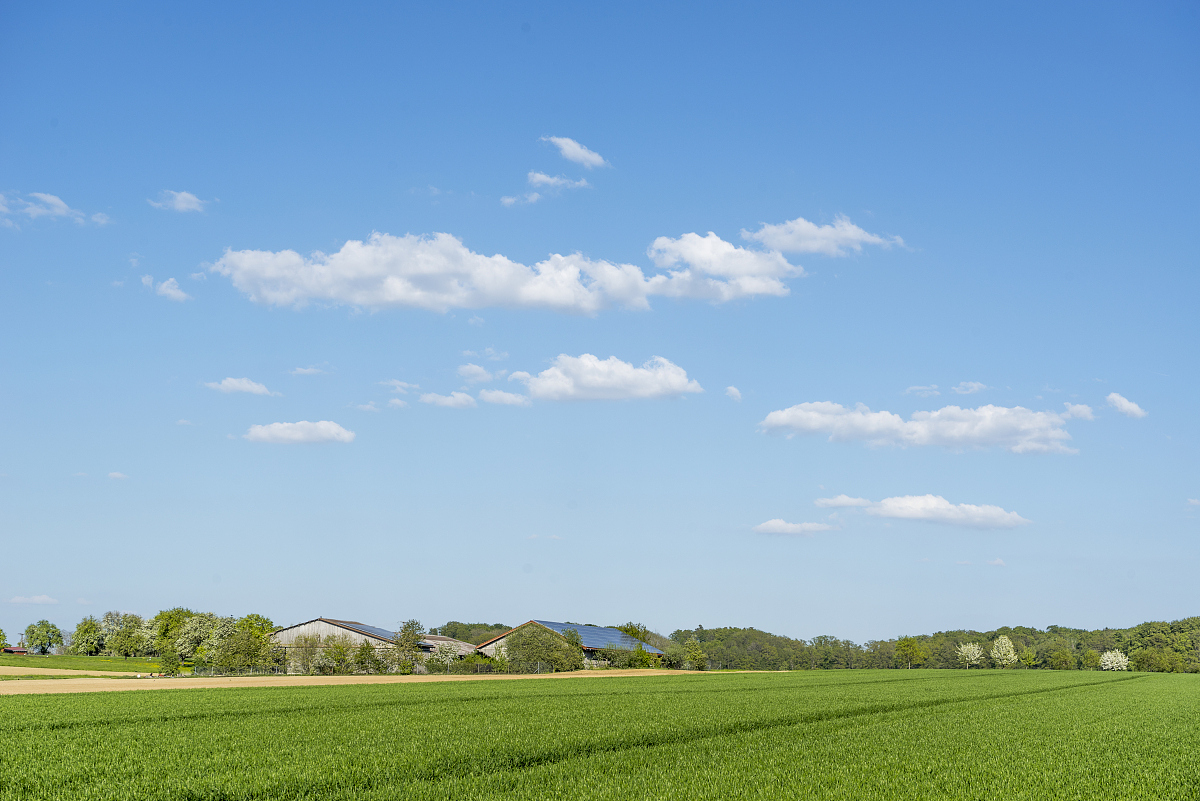 高情商的回绝方法,再巧妙的圆滑都敌不过真诚