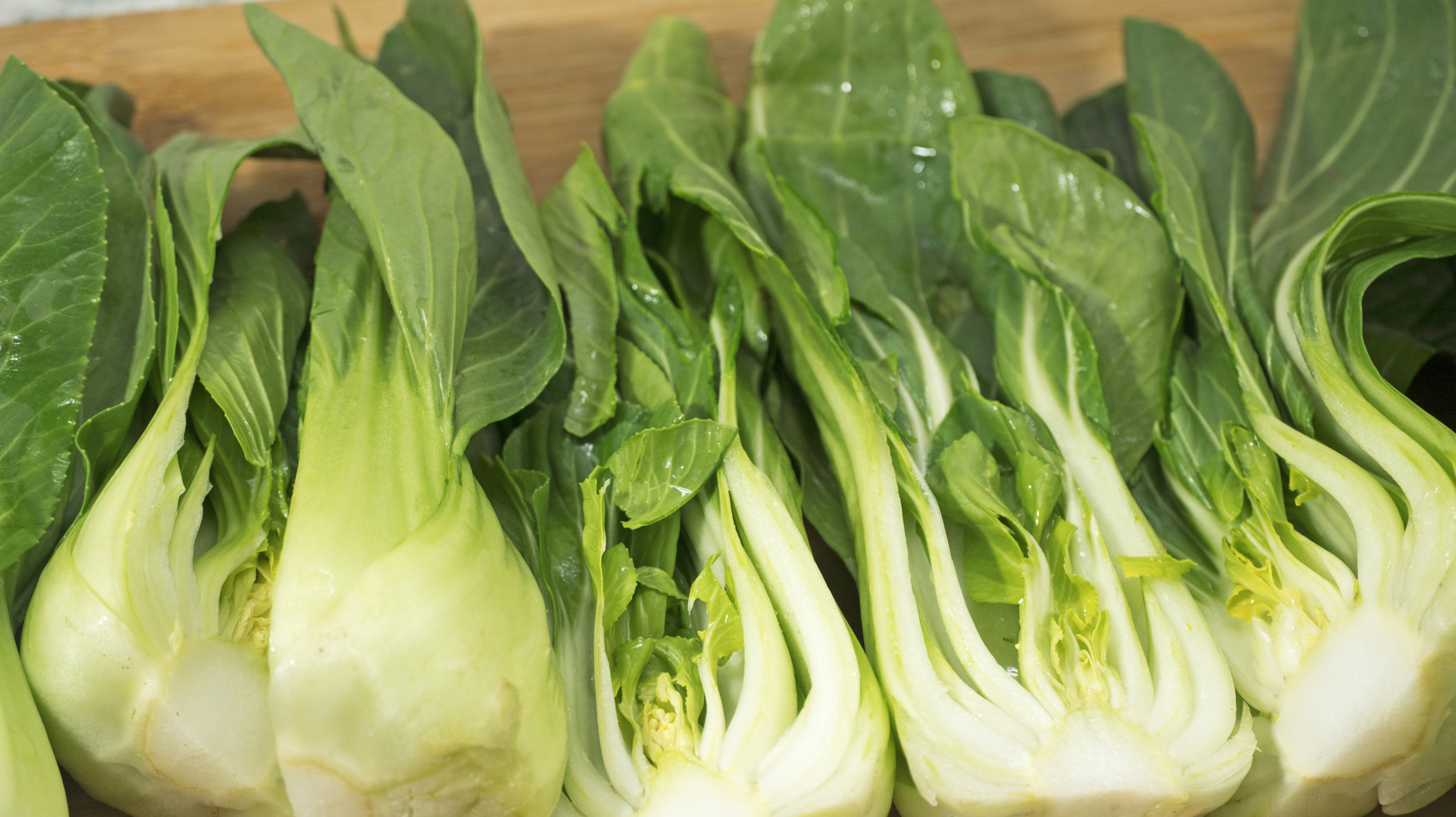 100款特色招牌菜视频,100个高档招牌菜热菜