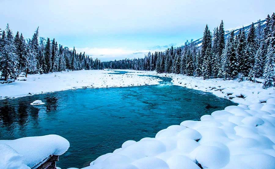 冬季的庭院景观,美丽如画的自然景观让人心旷神怡