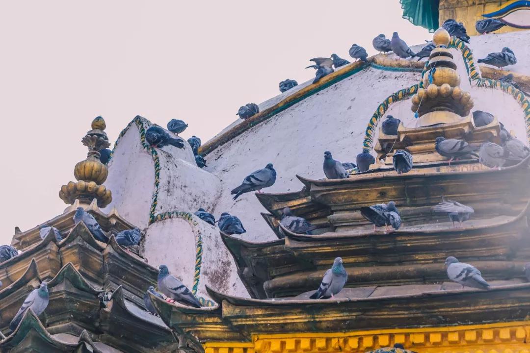 这个微笑国度,见人就夸漂亮,300元就能在天空滑翔