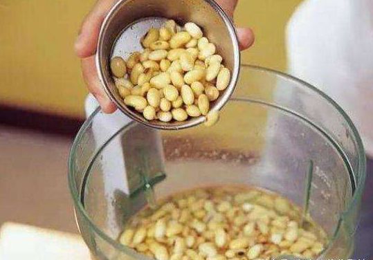 普通绿萝能养成大叶绿萝吗图片,小叶绿萝爬柱可以长成大叶绿萝吗