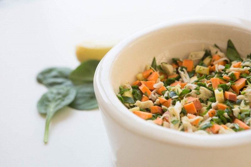 自制狗粮多大的狗狗可以吃,狗狗自制狗粮可以跟狗粮一起吃吗