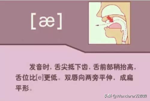 英语48个音标发音附详细图解,音标发音48个正确发音讲解视频