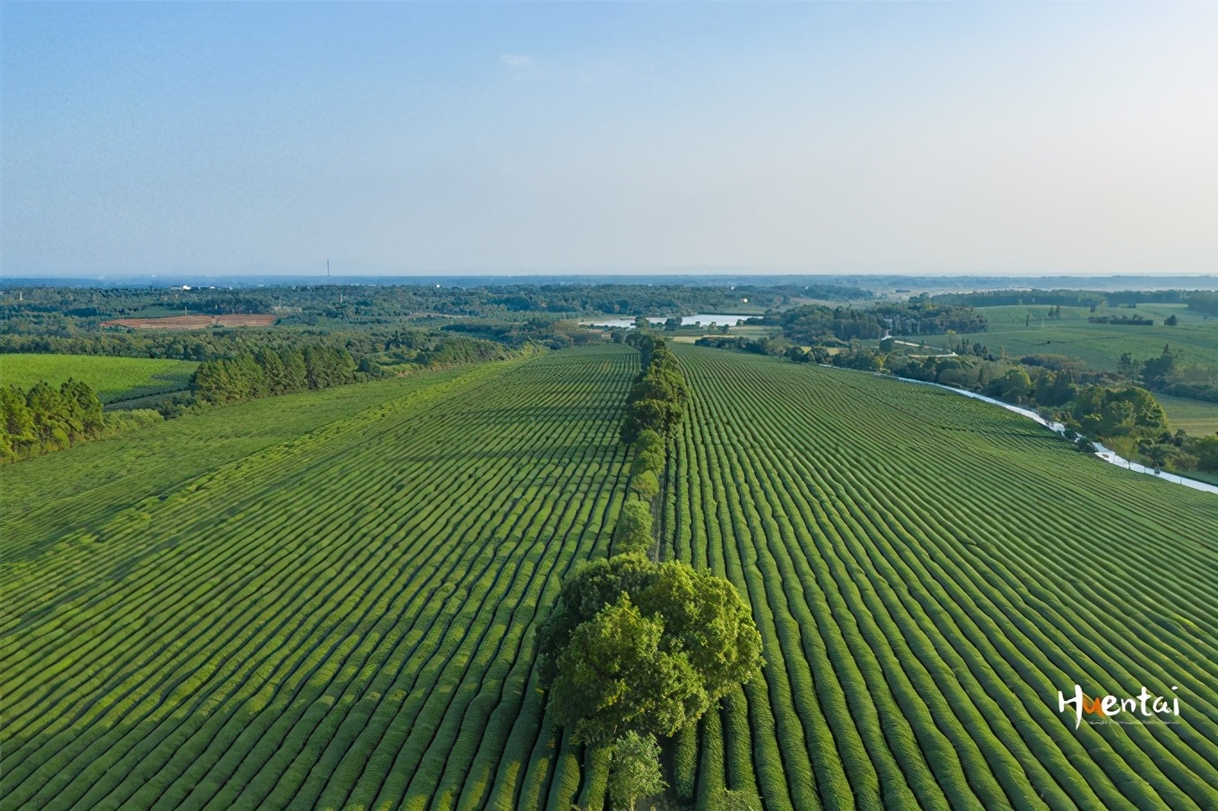 郎溪农村吃饭,郎溪吃饭农家乐
