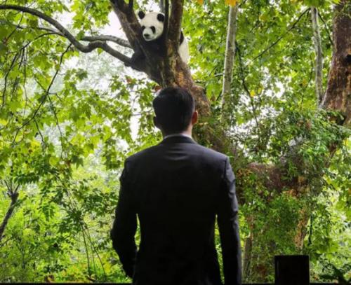 孤身一人撼动国外经济圈的民间高手—弓伟