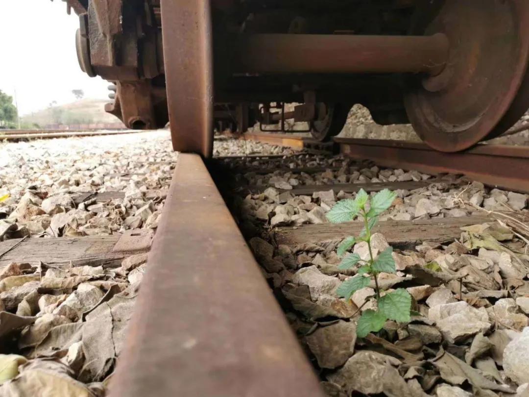 一座铁路上崛起的工业城市——开远，守望滇越百年